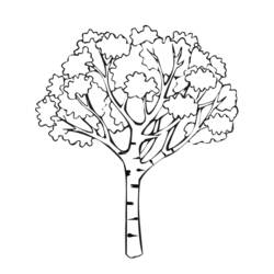 着色页: 树 (自然) #154671 - 免费可打印着色页