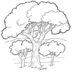 着色页: 树 (自然) #154679 - 免费可打印着色页