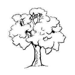 着色页: 树 (自然) #154683 - 免费可打印着色页