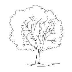 着色页: 树 (自然) #154693 - 免费可打印着色页
