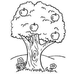 着色页: 树 (自然) #154702 - 免费可打印着色页