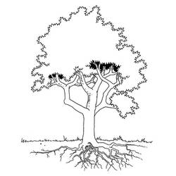 着色页: 树 (自然) #154704 - 免费可打印着色页