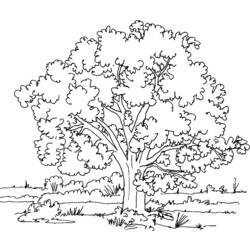 着色页: 树 (自然) #154714 - 免费可打印着色页