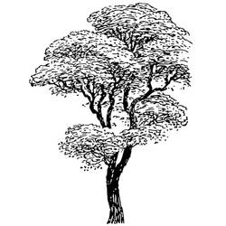 着色页: 树 (自然) #154715 - 免费可打印着色页
