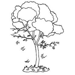 着色页: 树 (自然) #154720 - 免费可打印着色页
