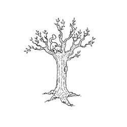 着色页: 树 (自然) #154721 - 免费可打印着色页