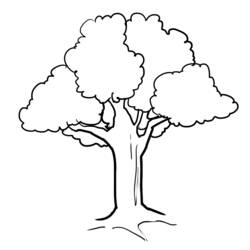 着色页: 树 (自然) #154722 - 免费可打印着色页