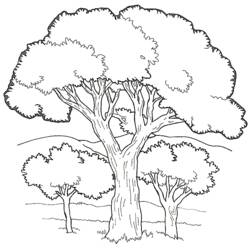 着色页: 树 (自然) #154733 - 免费可打印着色页