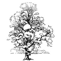 着色页: 树 (自然) #154743 - 免费可打印着色页