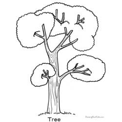 着色页: 树 (自然) #154747 - 免费可打印着色页