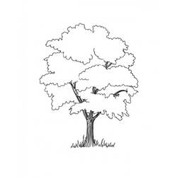 着色页: 树 (自然) #154760 - 免费可打印着色页