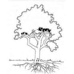 着色页: 树 (自然) #154775 - 免费可打印着色页