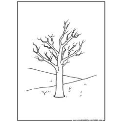 着色页: 树 (自然) #154777 - 免费可打印着色页