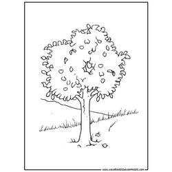 着色页: 树 (自然) #154804 - 免费可打印着色页