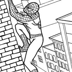 着色页: 蜘蛛侠 (超级英雄) #78647 - 免费可打印着色页