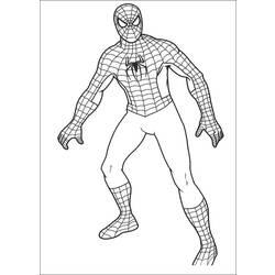 着色页: 蜘蛛侠 (超级英雄) #78651 - 免费可打印着色页