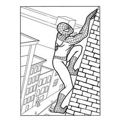 着色页: 蜘蛛侠 (超级英雄) #78658 - 免费可打印着色页