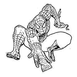 着色页: 蜘蛛侠 (超级英雄) #78671 - 免费可打印着色页