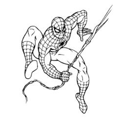 着色页: 蜘蛛侠 (超级英雄) #78688 - 免费可打印着色页