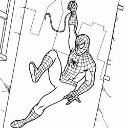 着色页: 蜘蛛侠 (超级英雄) #78704 - 免费可打印着色页