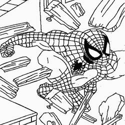着色页: 蜘蛛侠 (超级英雄) #78717 - 免费可打印着色页