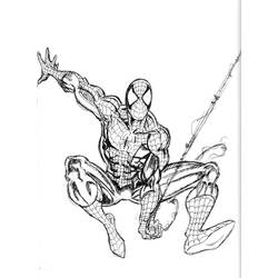 着色页: 蜘蛛侠 (超级英雄) #78820 - 免费可打印着色页