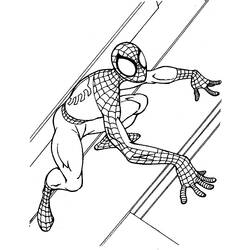 着色页: 蜘蛛侠 (超级英雄) #78857 - 免费可打印着色页