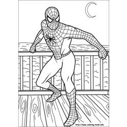 着色页: 蜘蛛侠 (超级英雄) #78974 - 免费可打印着色页